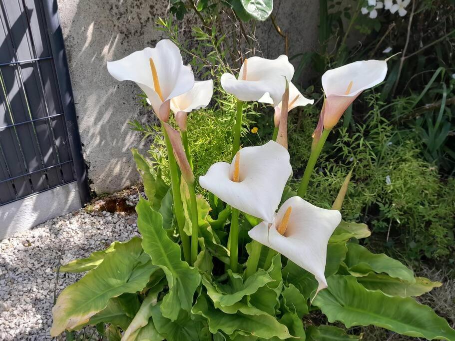 Gite Tante Jeanne Reville Bagian luar foto